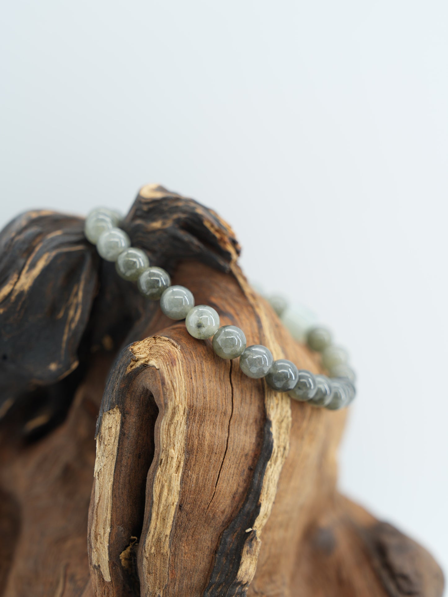 Yellow Wuji jadeite bracelet  #J202601005